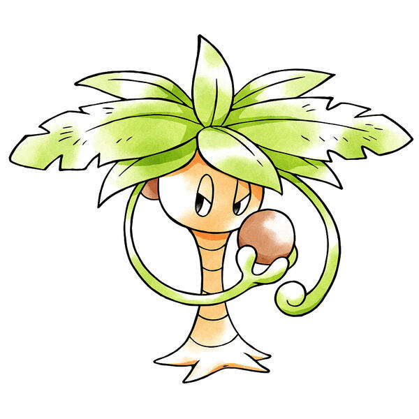 coconut