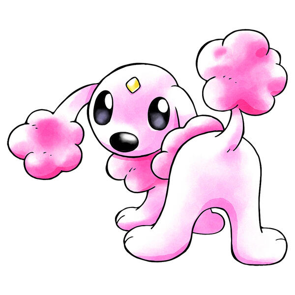 poodle