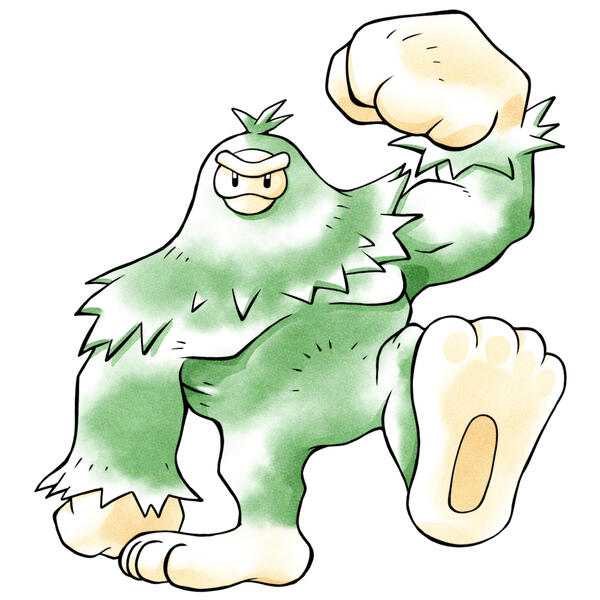 sasquash