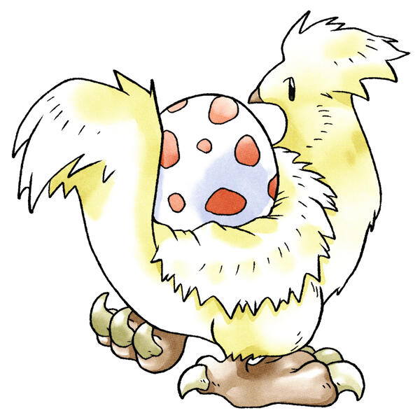 ❌chik'n'pek CAPTURE QUEST