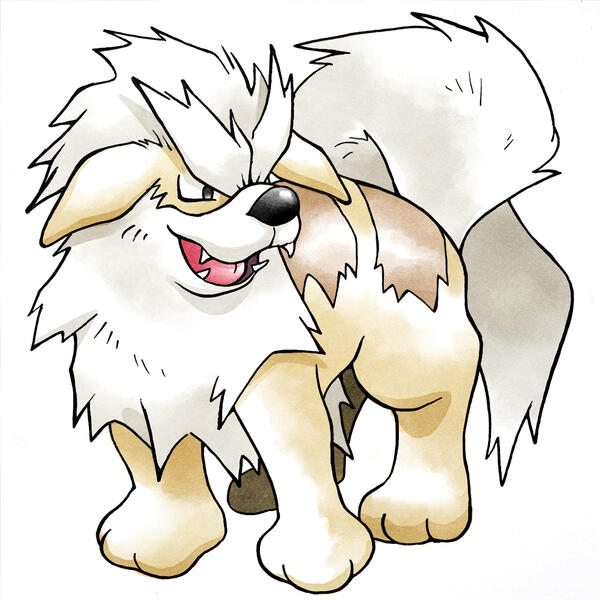 barkanine [pokemon]